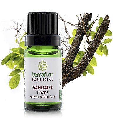 Óleo essencial - Sandalo Amyris10ml - Terraflor