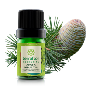 Óleo essencial  - Cedro Himalaya 5ml - Terraflor