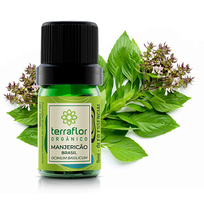 Óleo Essencial de Manjeiricão do Brasil 5ml - Terraflor
