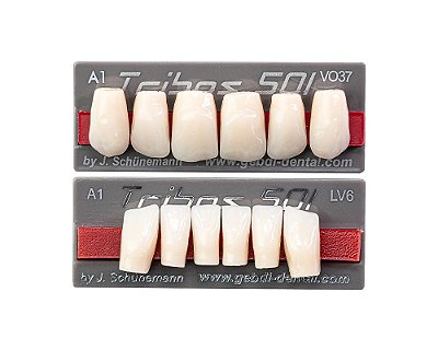 Dente Tribos 501