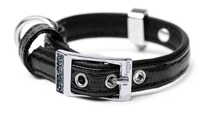 Coleira MyFamily Saint Tropez Cães - Preta