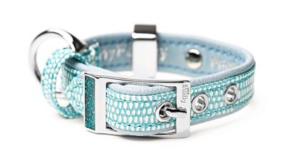 Coleira MyFamily Saint Tropez Cães - Turquesa