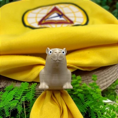 - Arganel Prendedor Lenço Capivara