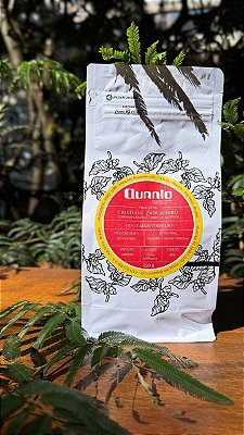 Café Especial - Pacote Tradicional