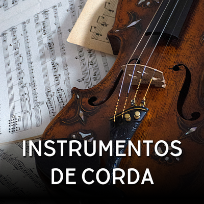 Intrumentos Musicais