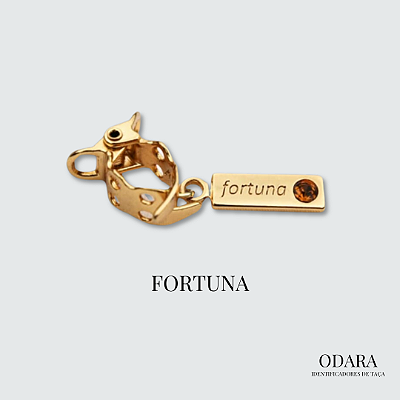 Identificador Fortuna com Pedra