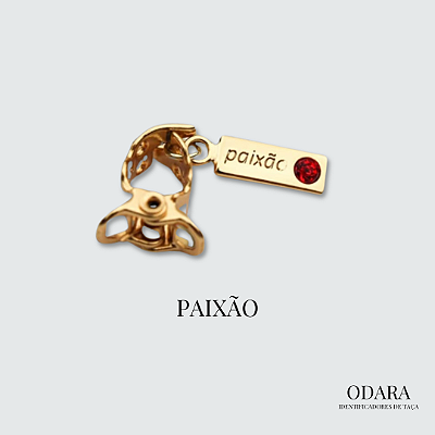 Identificador Paixão com Pedra