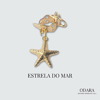 Identificador Estrela do Mar