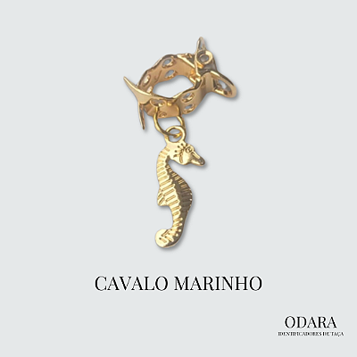 Identificador Cavalo Marinho
