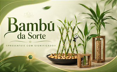 Bambu da Sorte