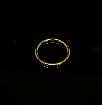 Argola Dourada Lisa Titânio
