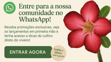 Nossa Comunidade