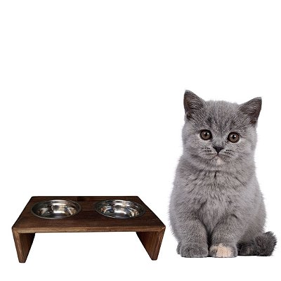 COMEDOURO ESCADA PARA CÃES E GATOS