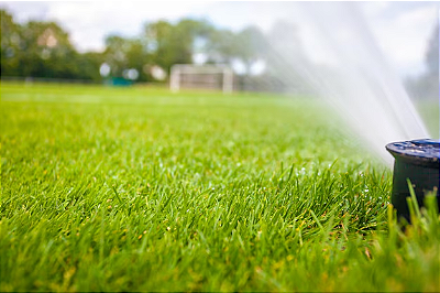 Gramas para campo de Futebol