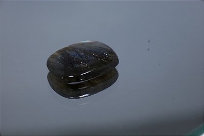 Labradorita 25.17cts