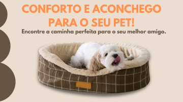 Caminha