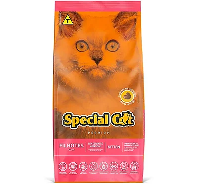 SPECIAL CAT FILHOTES