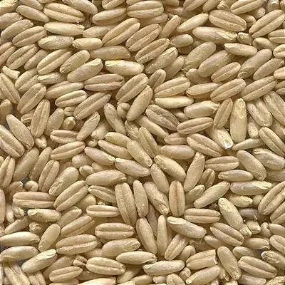 Aveia sem Casca 5 Kg