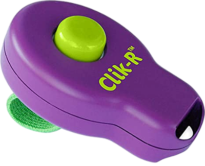 Adestrador Click-R Pet