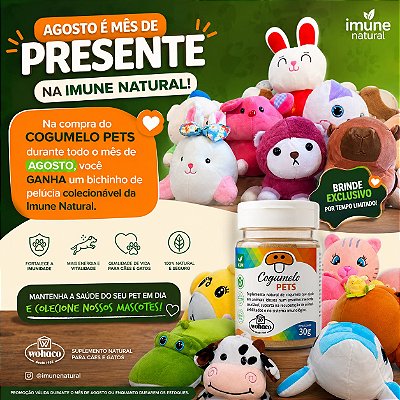 BICHINHOS COLECIONÁVEIS
