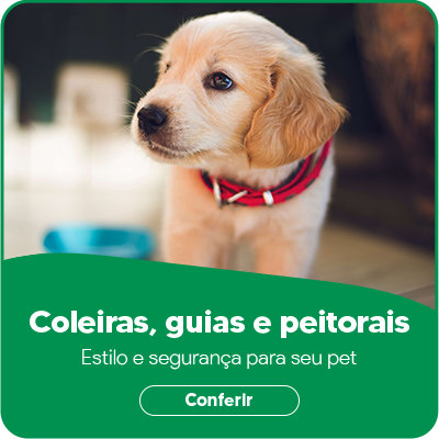 Mini banner guias e coleiras