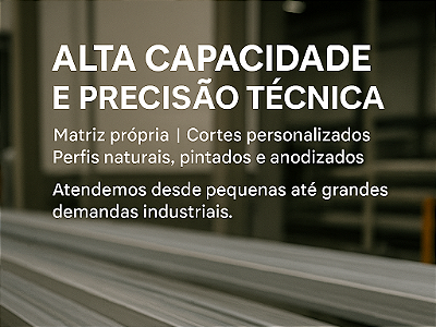 Capacidade técnica