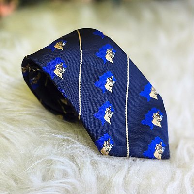 Gravata sertaneja / country/ tradicionalista azul