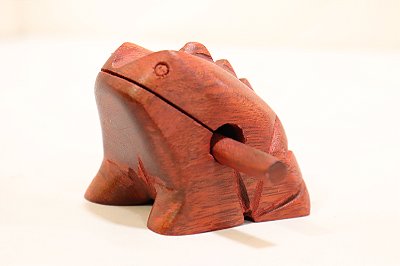 Sapo Cantante Madeira