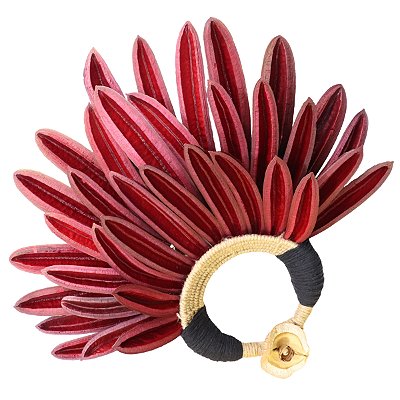 Cocar Decorativo Canoinha