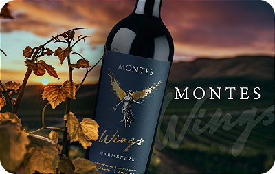 Banner Montes