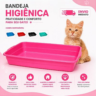 Caixa De Areia Para Gatos