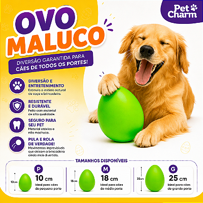 Ovo maluco Pequeno Médio Grande Para Cachorro