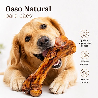 Mordedor Para Cachorro Osso Fêmur Natural