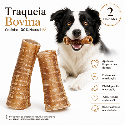 Mordedor Natural Para Cachorro Traqueia Bovina Petisco 2 Unidades