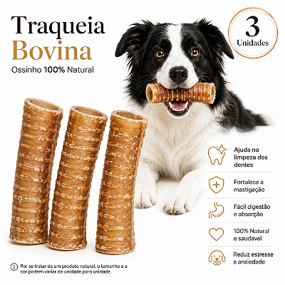 Mordedor Natural Para Cães Traqueia Bovina 3 Unidades