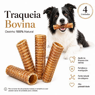 Mordedor Natural Traqueia Bovina Para Cães 4 Unidades