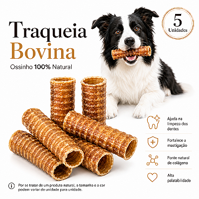 Mordedor Natural Para Cães Traqueia Bovina Petisco 5 Unidades