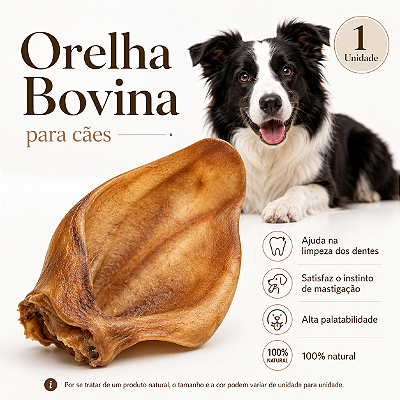 Mordedor Natural Para Cães Orelha Bovina Petisco Natural