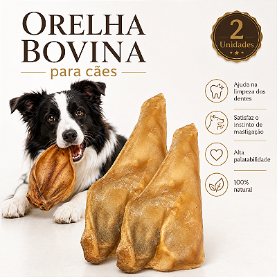 Mordedor Natural Para Cães Orelha Bovina Petisco 2 Unidades