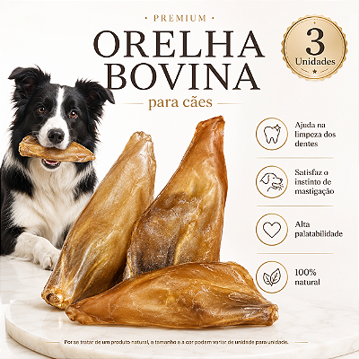 Mordedor Natural Para Cães Orelha Bovina Petisco 3 Unidades