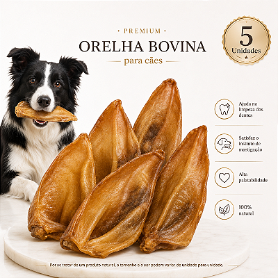 Mordedor Natural Para Cães Orelha Bovina Petisco 5 Unidades