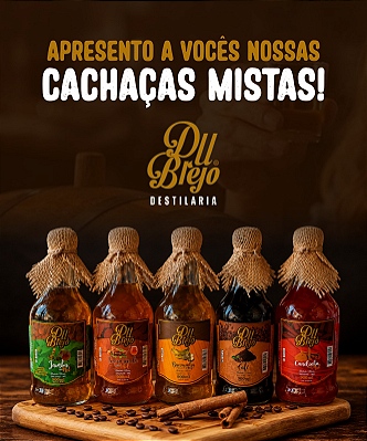 Mini Banner-Du brejo 01