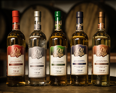 Mini Banner-Du brejo 01