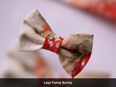 Laços Funny Bunny