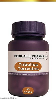 Tribulus Terrestris 500mg – 90 Cápsulas