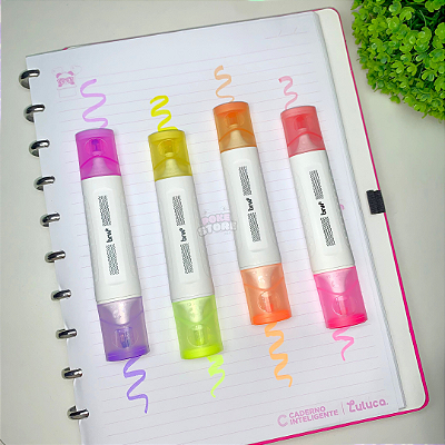 Marca Texto Ponta Dupla Double Clean Tip