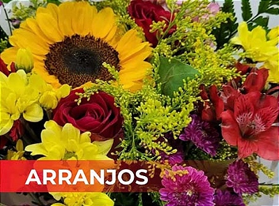 ARRANJOS
