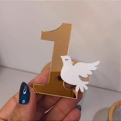 Aplique Idade com Pomba - Arca de Noé - 6cm - 1 unidade