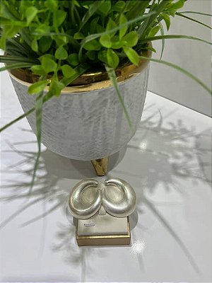 Brinco Ródio Acetinado