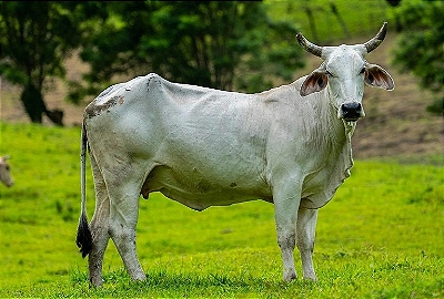 Mini Banner 1 - mobile